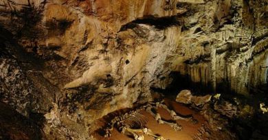 Экскурсии в Мраморную пещеру из Кацивели 2024