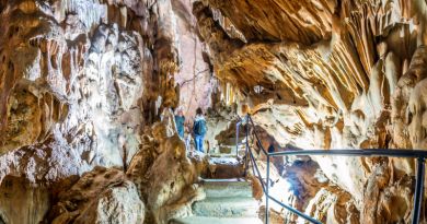 Экскурсии в Скельская пещера из Кацивели 2024